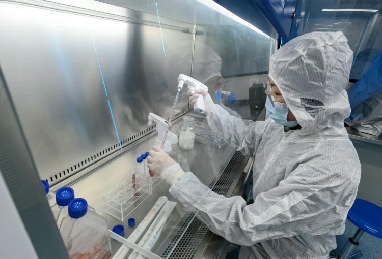 深圳細胞產業迎來新引擎 “大灣區國際綜合細胞庫與區域制備中心”揭牌，加速技術研發與應用