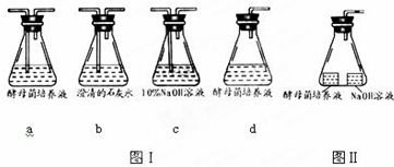 基因工程與植物細胞工程的核心技術及應用